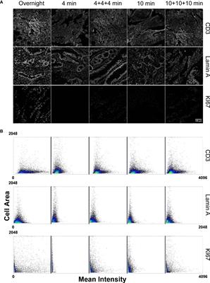 Automated multimodal fluorescence microscopy for hyperplex spatial-proteomics: Coupling microfluidic-based immunofluorescence to high resolution, high sensitivity, three-dimensional analysis of histological slides